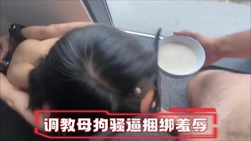 骚母狗被调教边吃鸡巴边喝精液 淫荡至极