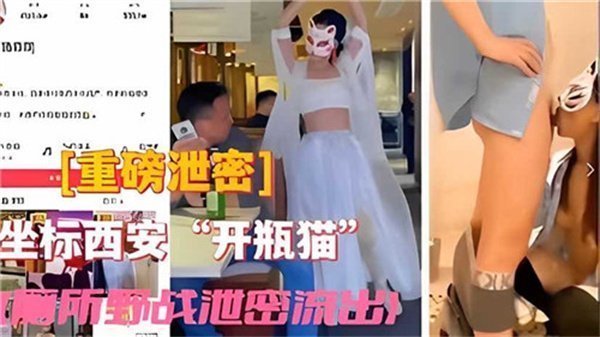 开瓶猫厕所野战泄密流出 极品骚穴被爆操内射颜射三连发